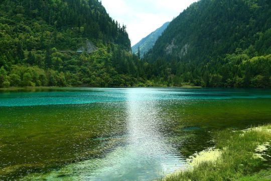 五花海是九寨沟的精华景点 其色彩之丰富之美丽令人为之倾倒 五花海