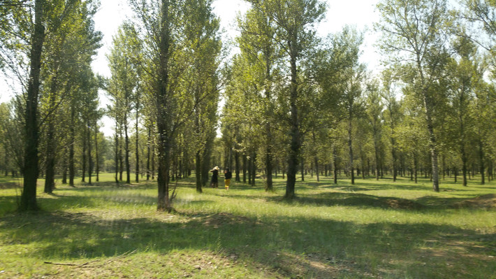 美美与共 天下大同