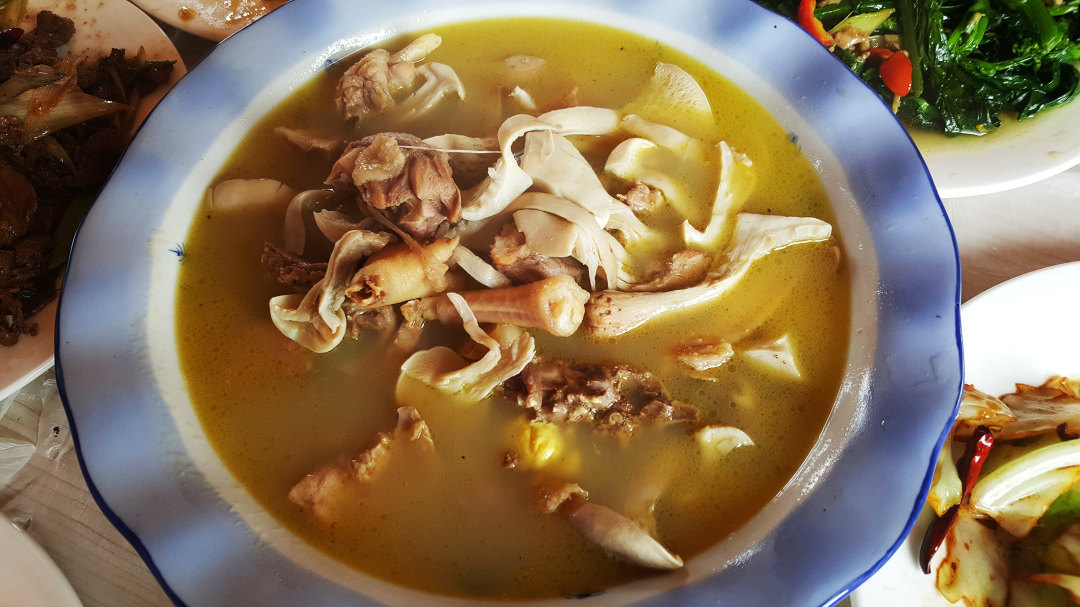 小鸡毒蘑菇,来呼伦贝尔一定要尝尝滴! 临江