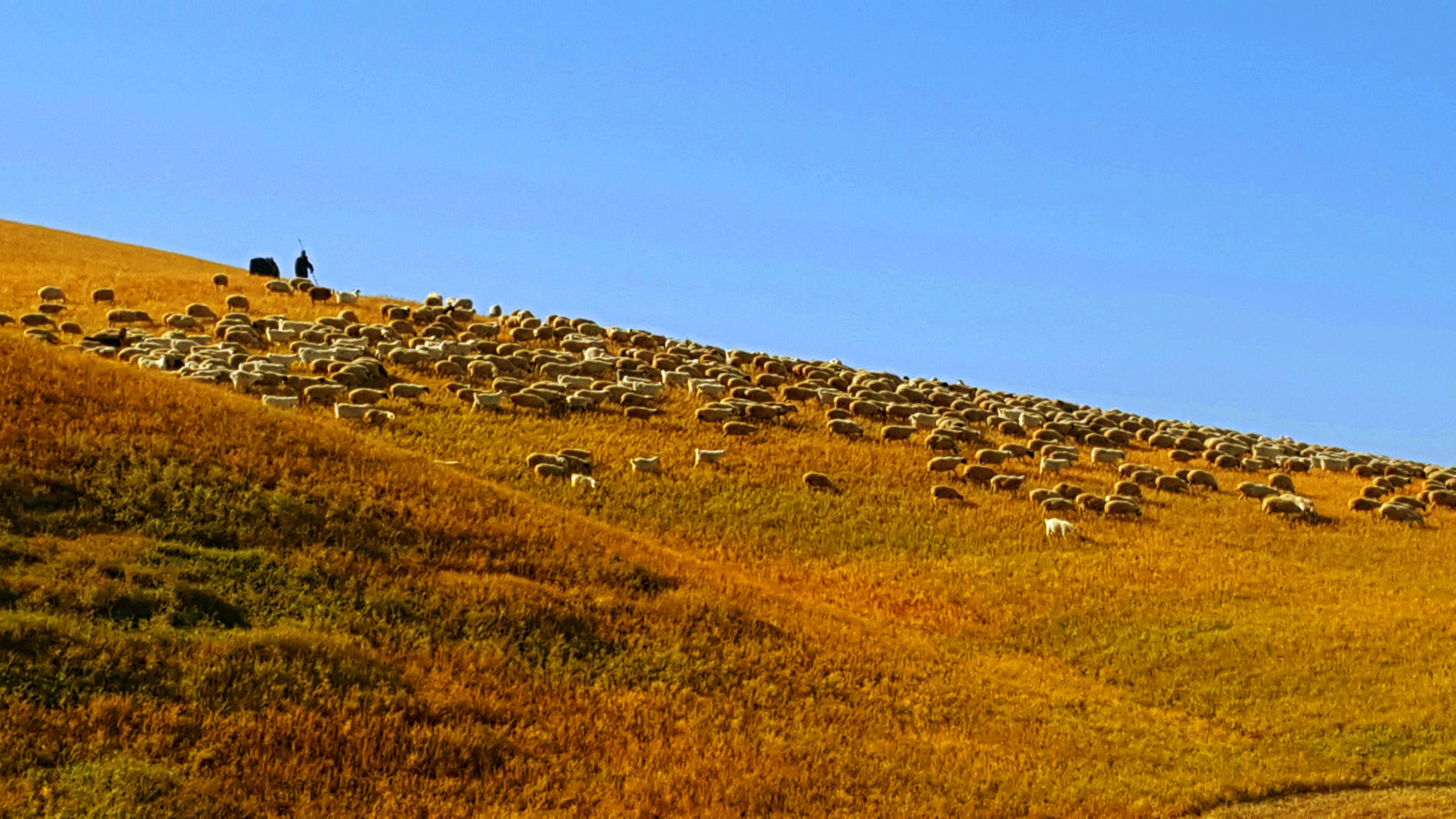 遇见初秋的你一内蒙古呼伦贝尔大草原之旅 - 额尔古纳游记攻略【携程