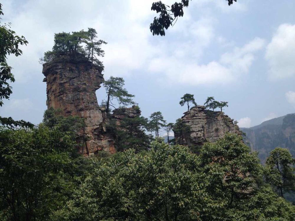 仙女献花                                 御笔峰 天子阁 卧龙岭