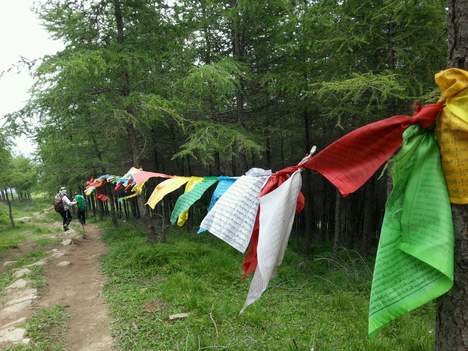 民谣中唱道:黄幡象征自现莲,红幡象征雨调和,青幡象征后裔长; 红幡插