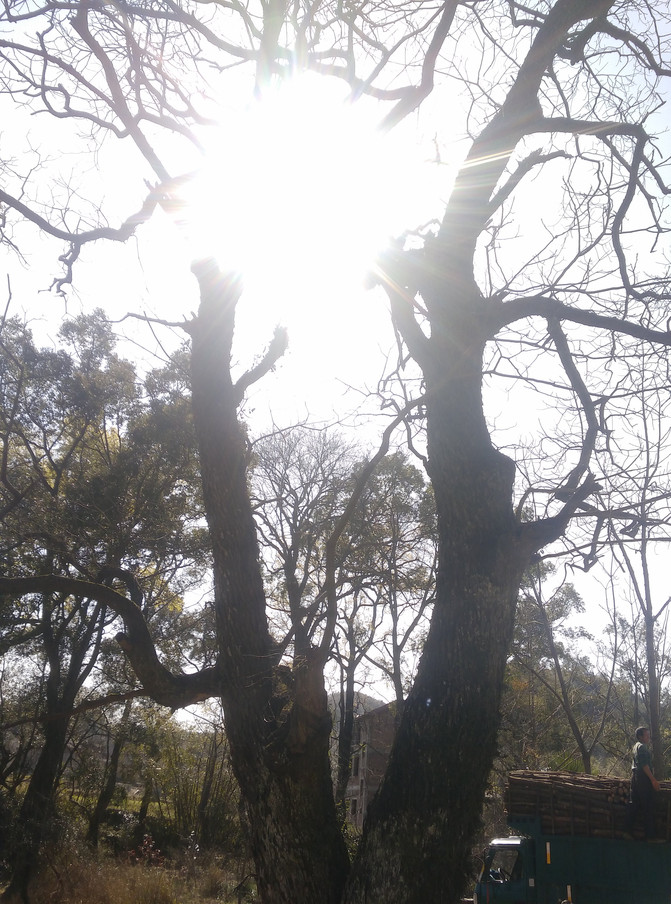 春暖花开,探访灵田大山中隐藏的美景《水帘洞