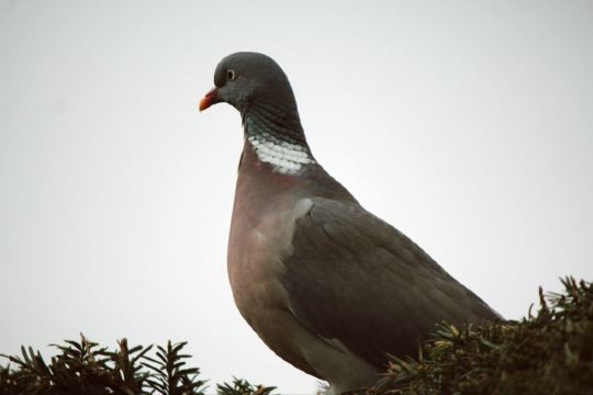 一个城市一定要有一个这样的地方.然而法国有太多这样的地方了.