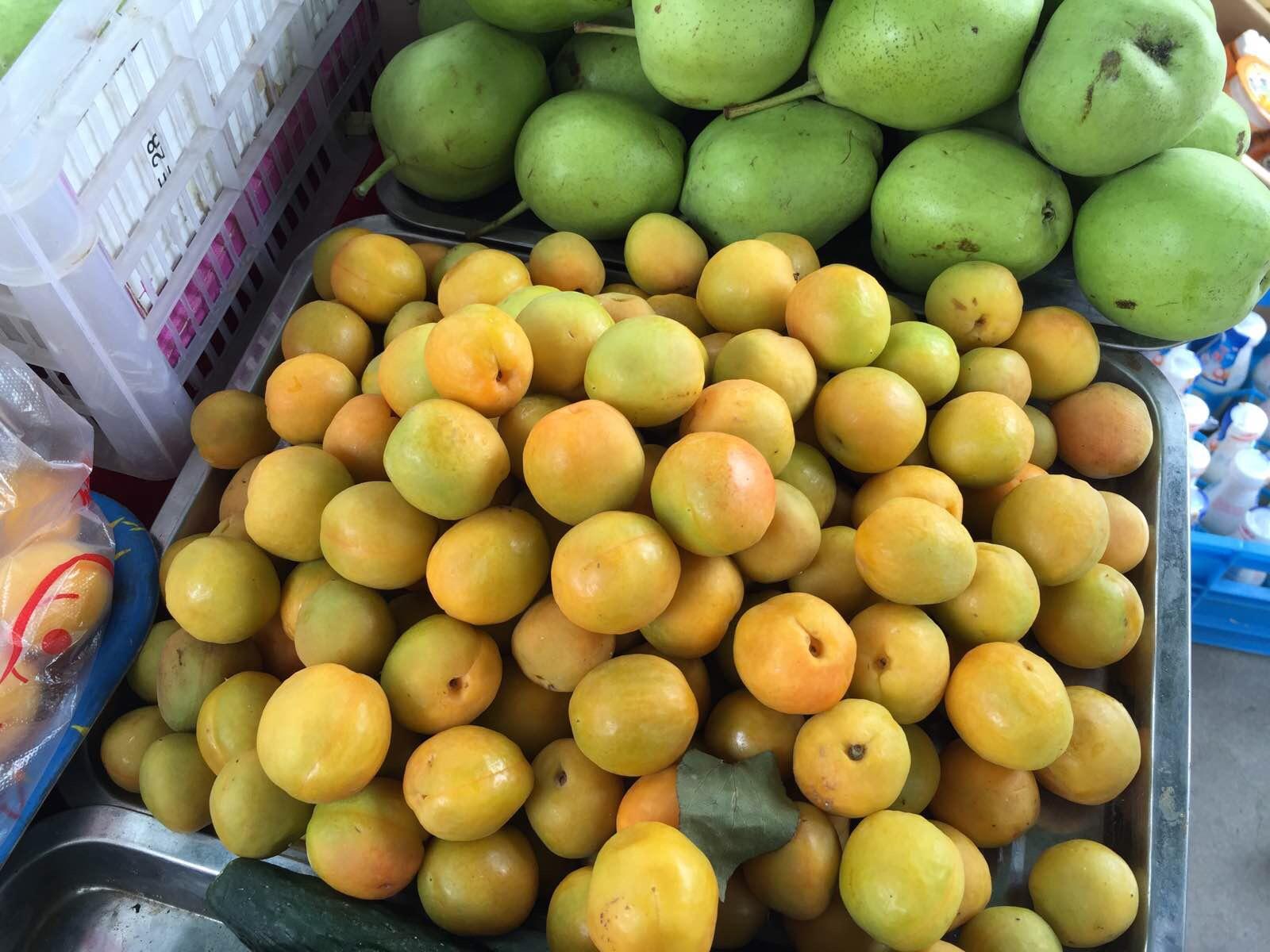 青海湖,敦煌,张掖之旅