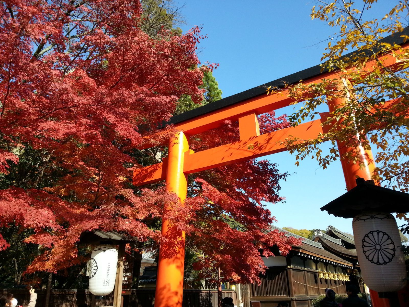 順便說一下,日本神社和寺院是不同的.