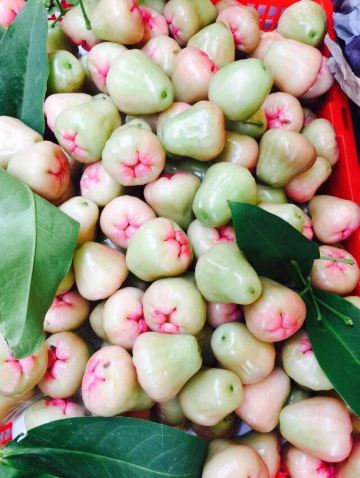 莲雾,好看不好吃