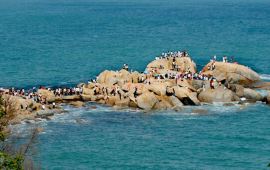 深圳小梅沙天气预报,历史气温,旅游指数,小梅沙