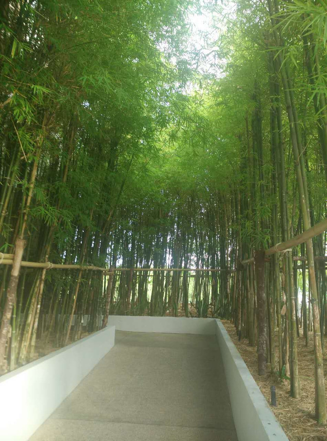 苏梅岛阳关灿烂浪漫自由行-曼函安酒店 - 苏梅