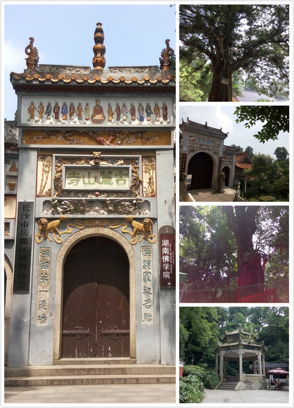 岳麓山寺里面的般若园里面石雕的小和尚妙趣横生,整个园院虽小但别有