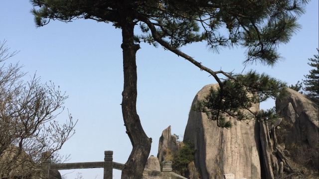 吉祥松门票,九华山吉祥松攻略/地址/图片/门票价格【携程攻略】