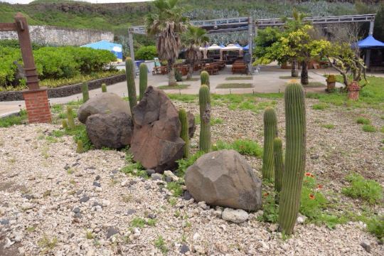 阳光,沙滩,仙人掌——我的澎湖趴趴走