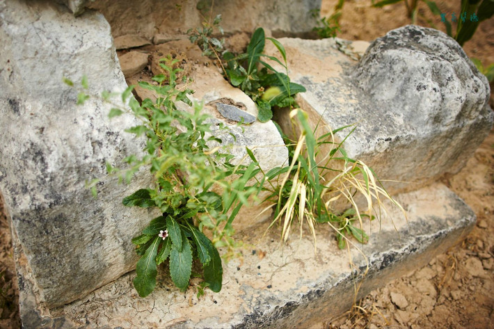 大唐乾坤-寻访唐陵【西安】 - 西安游记攻略