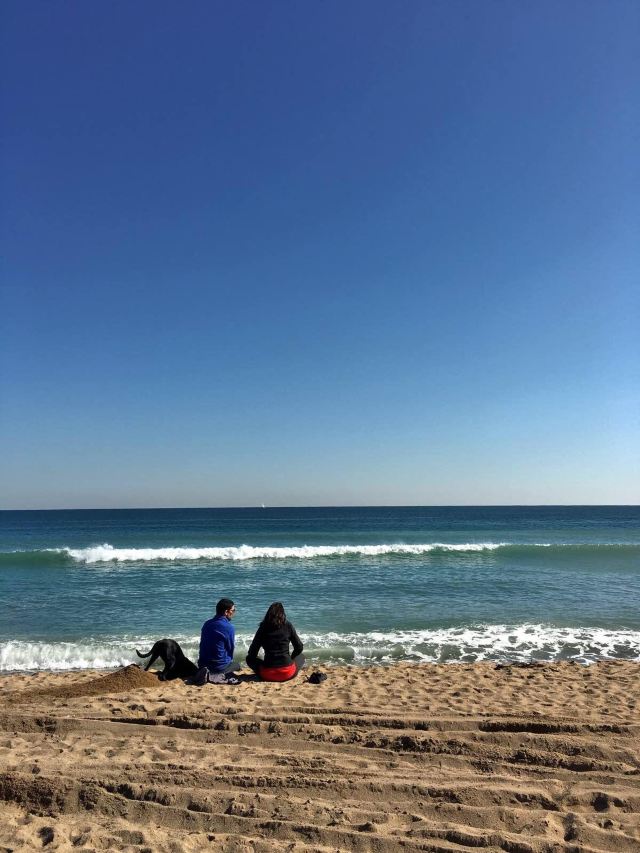 偷拍一张小情侣面朝大海聊天的背影,亮点是守候在男主身旁一直刨着
