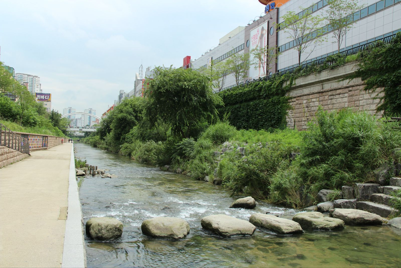 清溪川周圍的綠色植物很多,充分的體現了市政府對綠色生態環保的態度