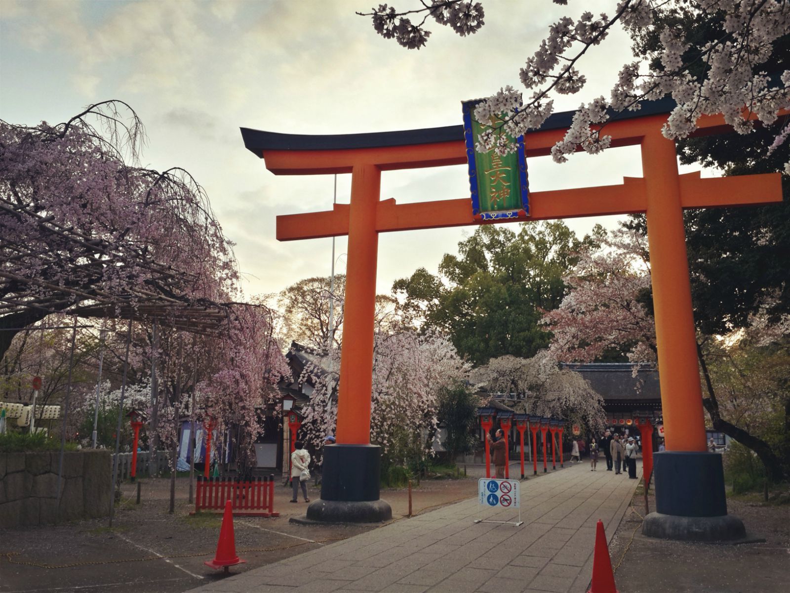 京都平野神社