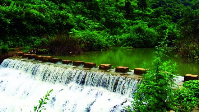 大方初水花源图片