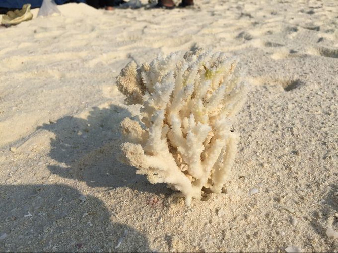 回归自然户外游之梦游西沙群岛 - 西沙群岛游记