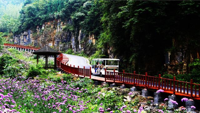 7分 (3條點評) 5 油杉河景區位於歷史悠久的大方縣境東北部,是大方縣