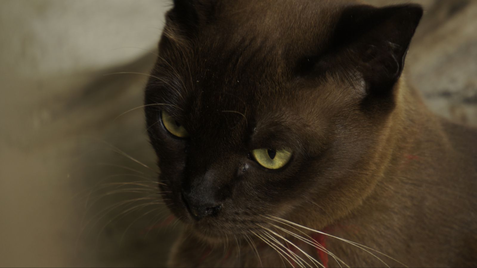 缅甸#2013myanmartrip#(2) - 曼德勒游记攻略【携程攻略】