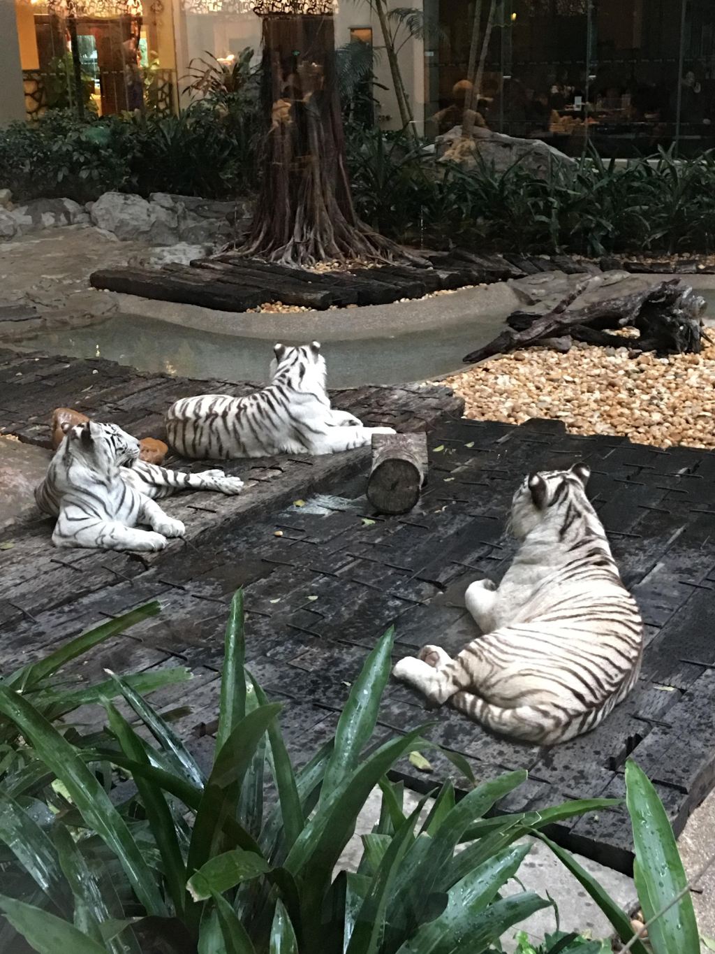 上海,海南,廣州十五日遊(廣州長隆野生動物園)