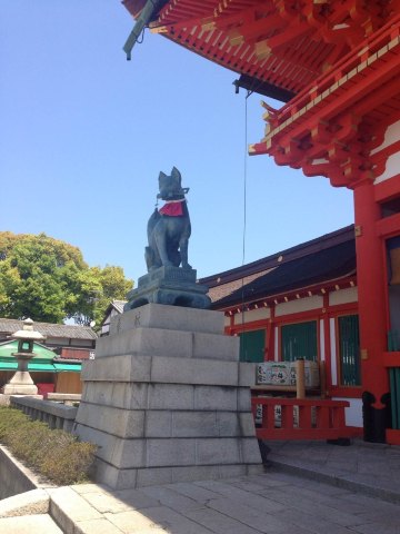 狐狸,神社的守护神! 伏见稻荷大社