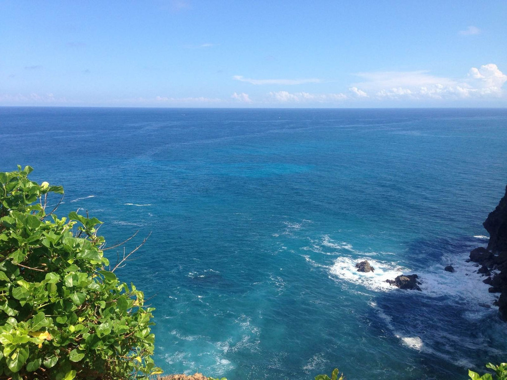 愛上心裡的那片海.bali巴厘島