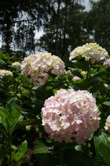 多彩越南亲子八日行