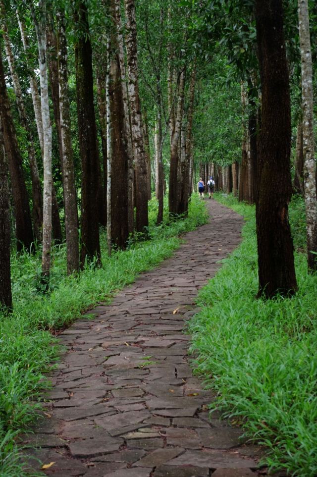 幽靜的小路邊據說周圍還有越戰留下的地雷. 會安美山遺址