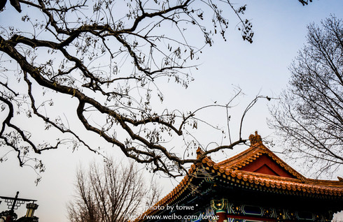 1月冬季北京5天摄影自由行,景山公园、北海公