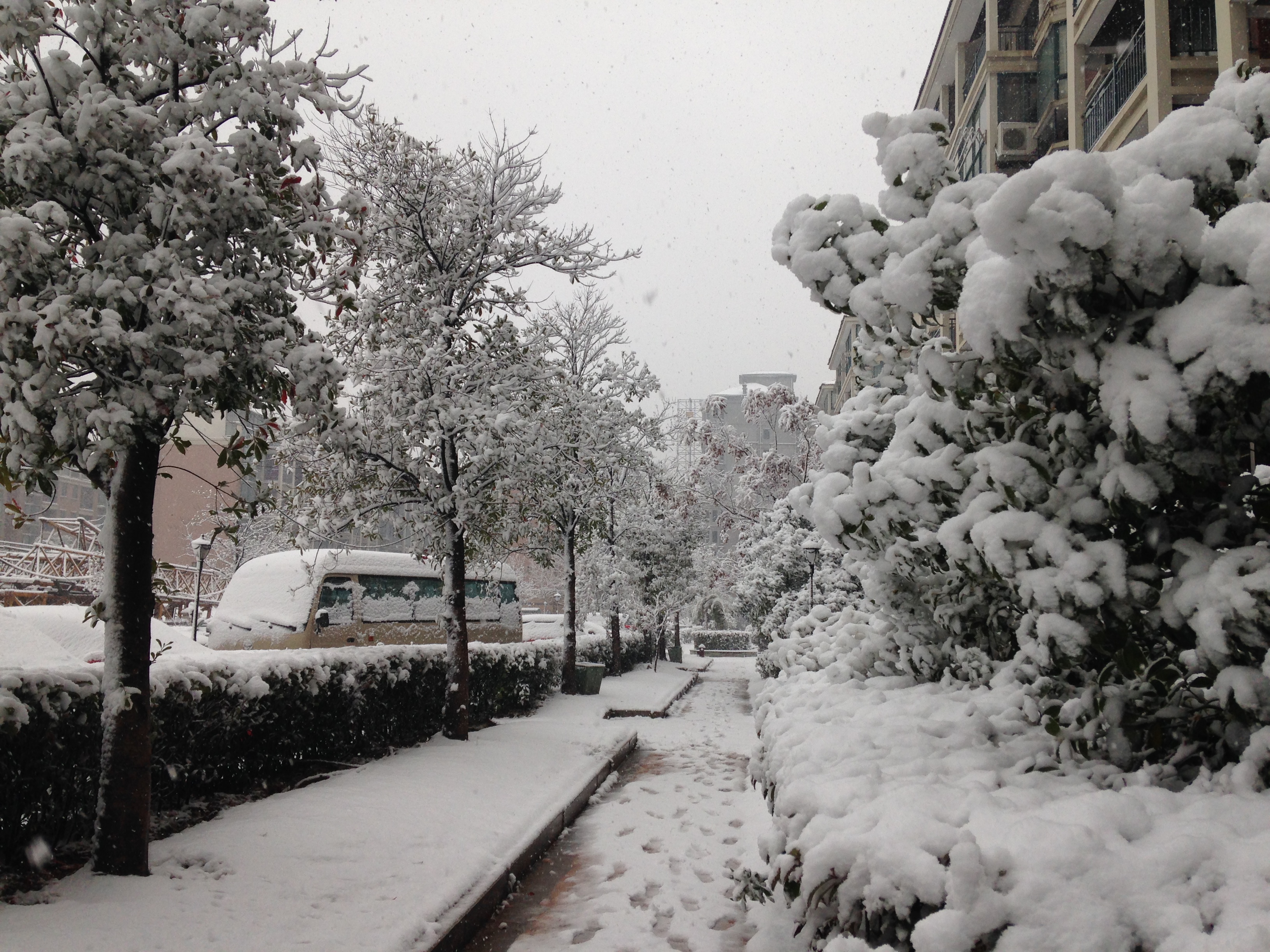 美丽"冻"人的城市-哈尔滨之行