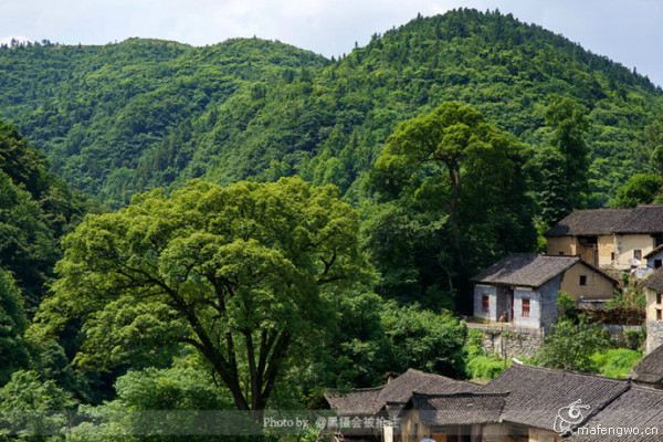 南華山國家森林公園