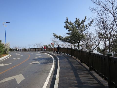 大连4日浪漫小资摄影自由行,滨海路,燕窝岭,星海广场,港湾广场,旅顺