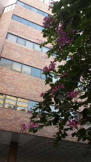 深圳香港过境游2014春节【申请精华】