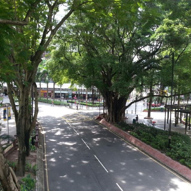 香港亲子游!