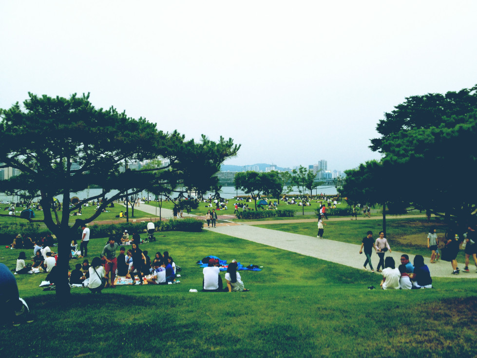 汉江边上有很多来camping的孩子 汉江市民公园