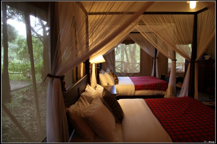 东非:超级肯尼亚,走进动物世界