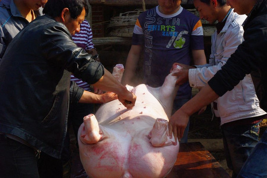 在云南农村吃年猪饭