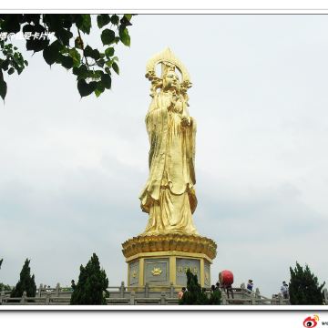 1994年建成的望海观音金像,高40余米,是目前世界上最高的露天观音像.