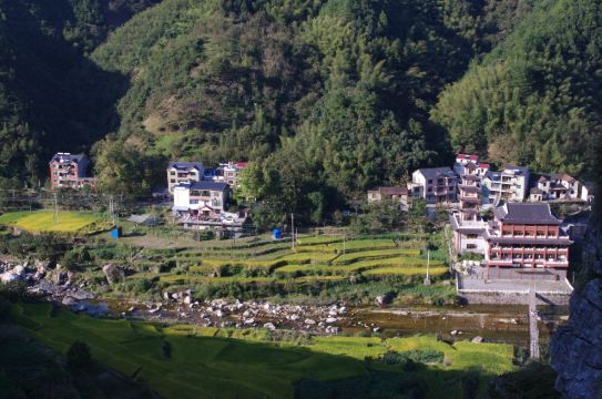 [加游站]"来福,你好吗"——两年后重回浙江省临安马啸乡