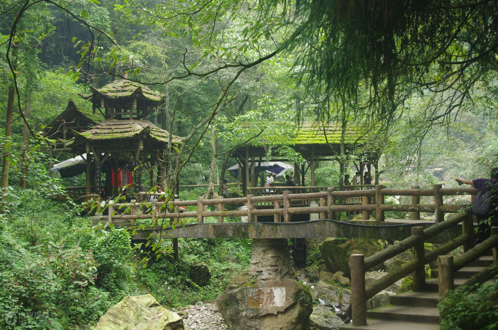 都江堰 青城山 峨眉山 樂山2日1晚跟團遊·都江堰青城山一日遊 峨樂一