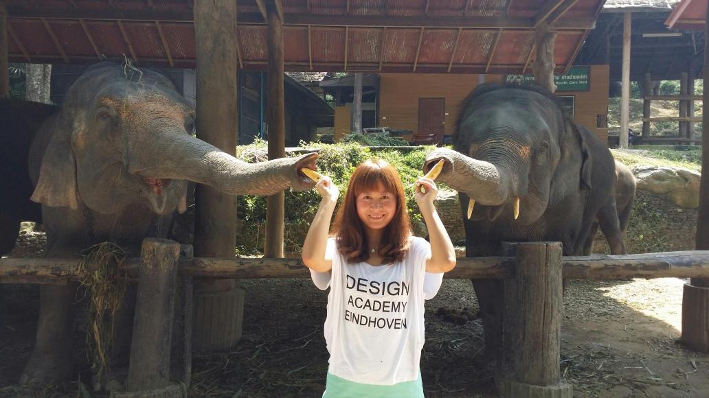 大象喂香蕉 湄沙大象营