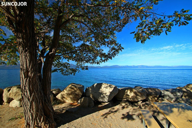  Discover the Best Lake Tahoe Cabin Rentals Pet Friendly for Your Perfect Getaway