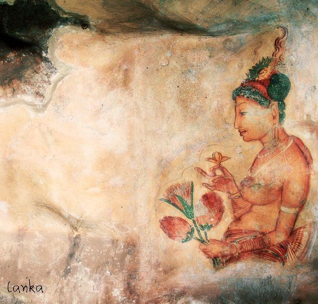 美梦,斯里兰卡!