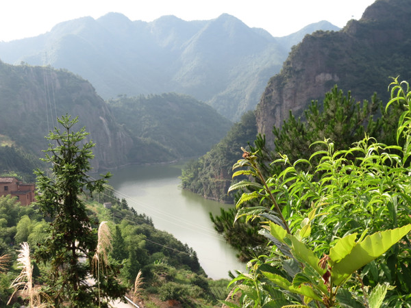 除了觀荷,新荷鄉附近還有小黃山畲族村,甌江源峽谷,柳城畲族鎮,全國文