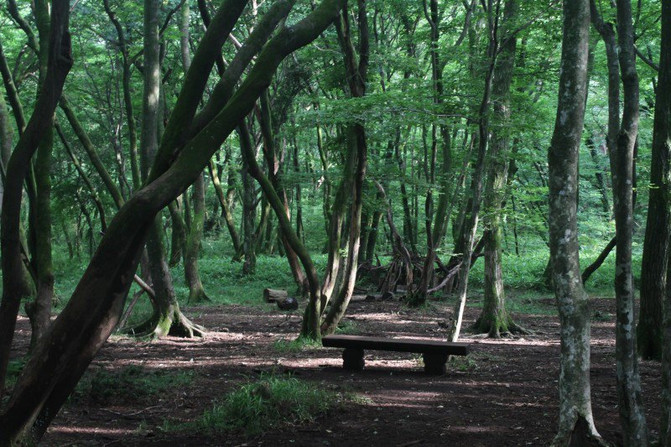 韩国济州岛自由行落地签超全超详细实用图文攻