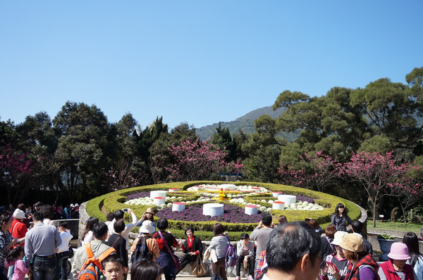 阳明山的标志——花钟.