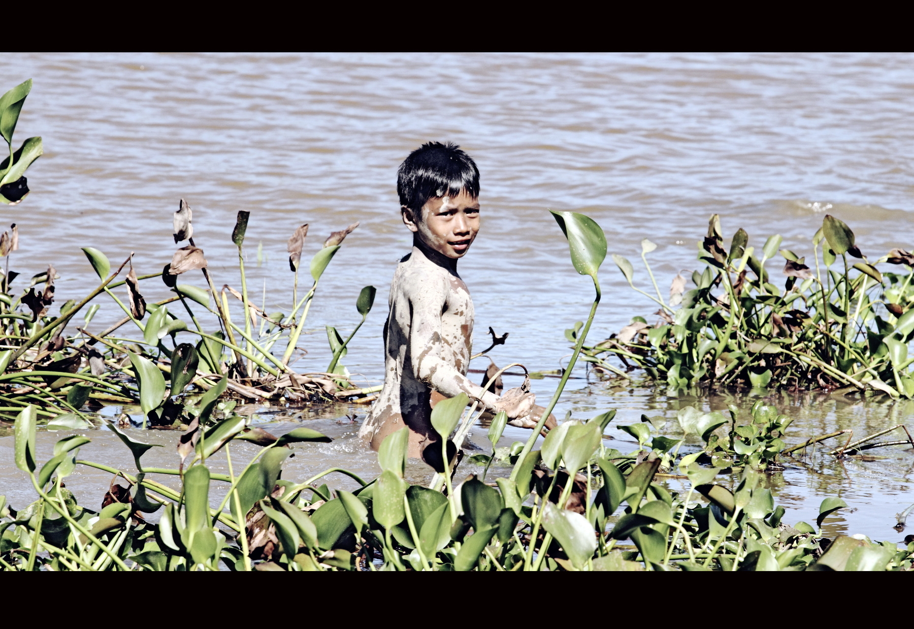 老挝戏水少年美篇图片