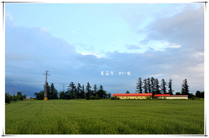 6月日本北海道9天人文摄影自由行,超级省钱攻