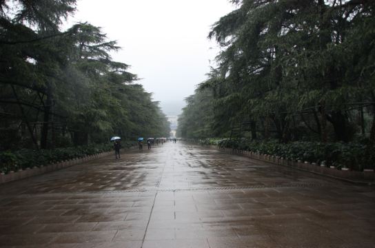 南京精华一日游—中山陵,夫子庙